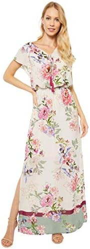 Adrianna Papell Women's Floral Border Print Maxi Dress