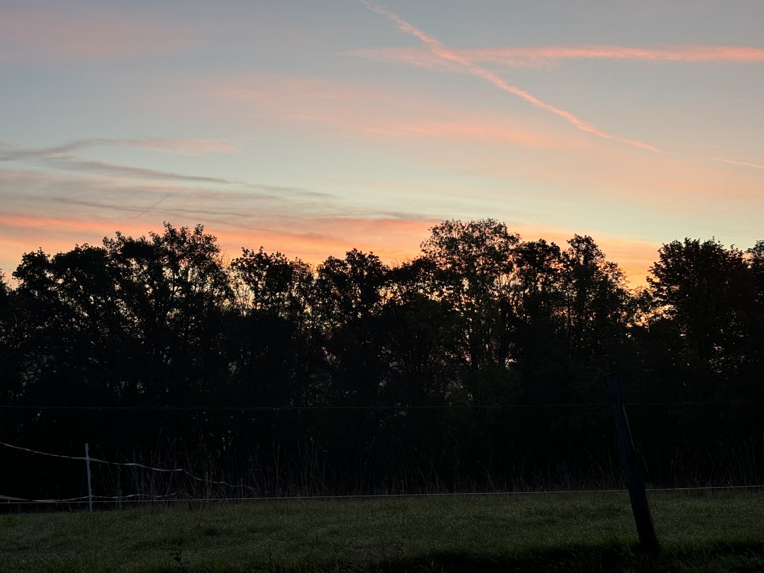 marcel´s department store